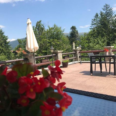 Hotel Vila Terase Sinaia Zewnętrze zdjęcie
