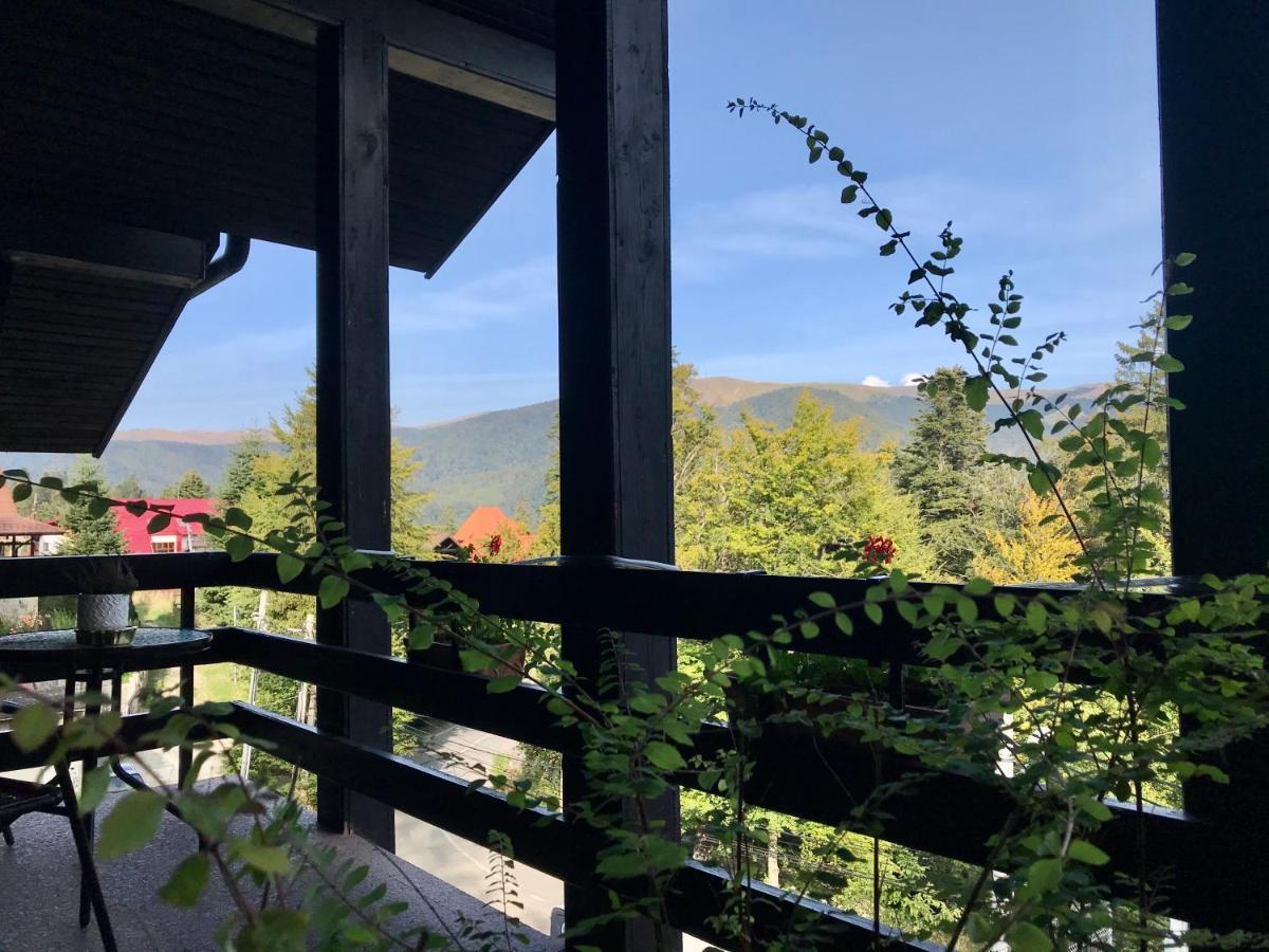 Hotel Vila Terase Sinaia Zewnętrze zdjęcie