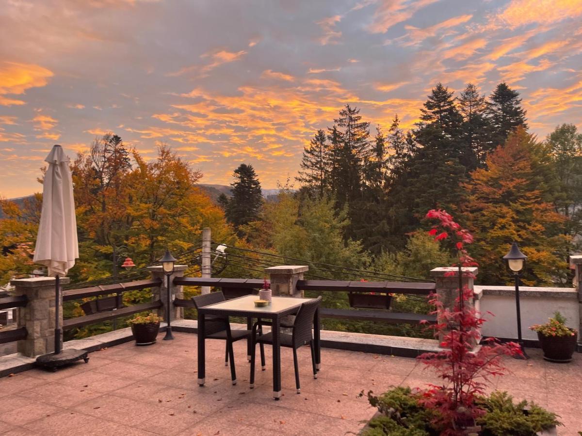 Hotel Vila Terase Sinaia Zewnętrze zdjęcie