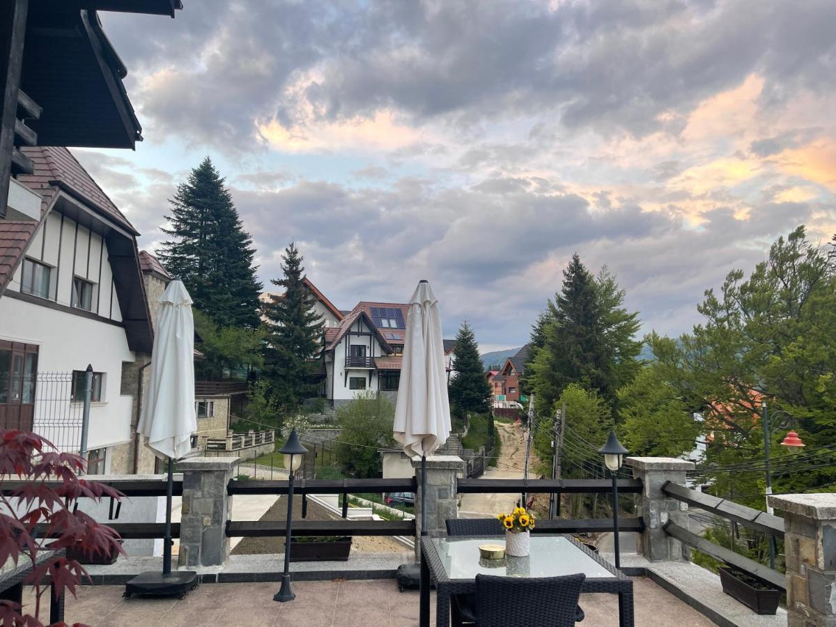 Hotel Vila Terase Sinaia Zewnętrze zdjęcie