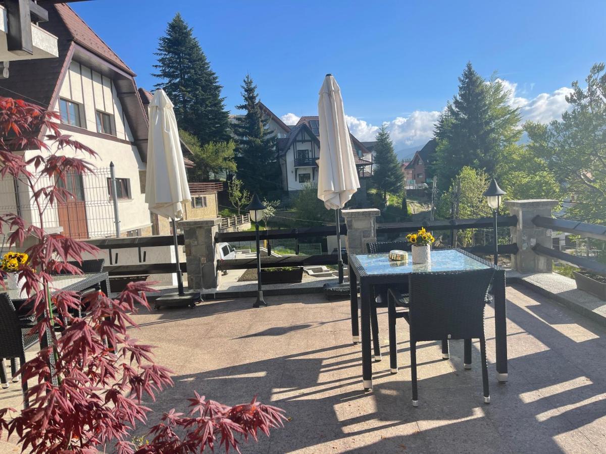 Hotel Vila Terase Sinaia Zewnętrze zdjęcie