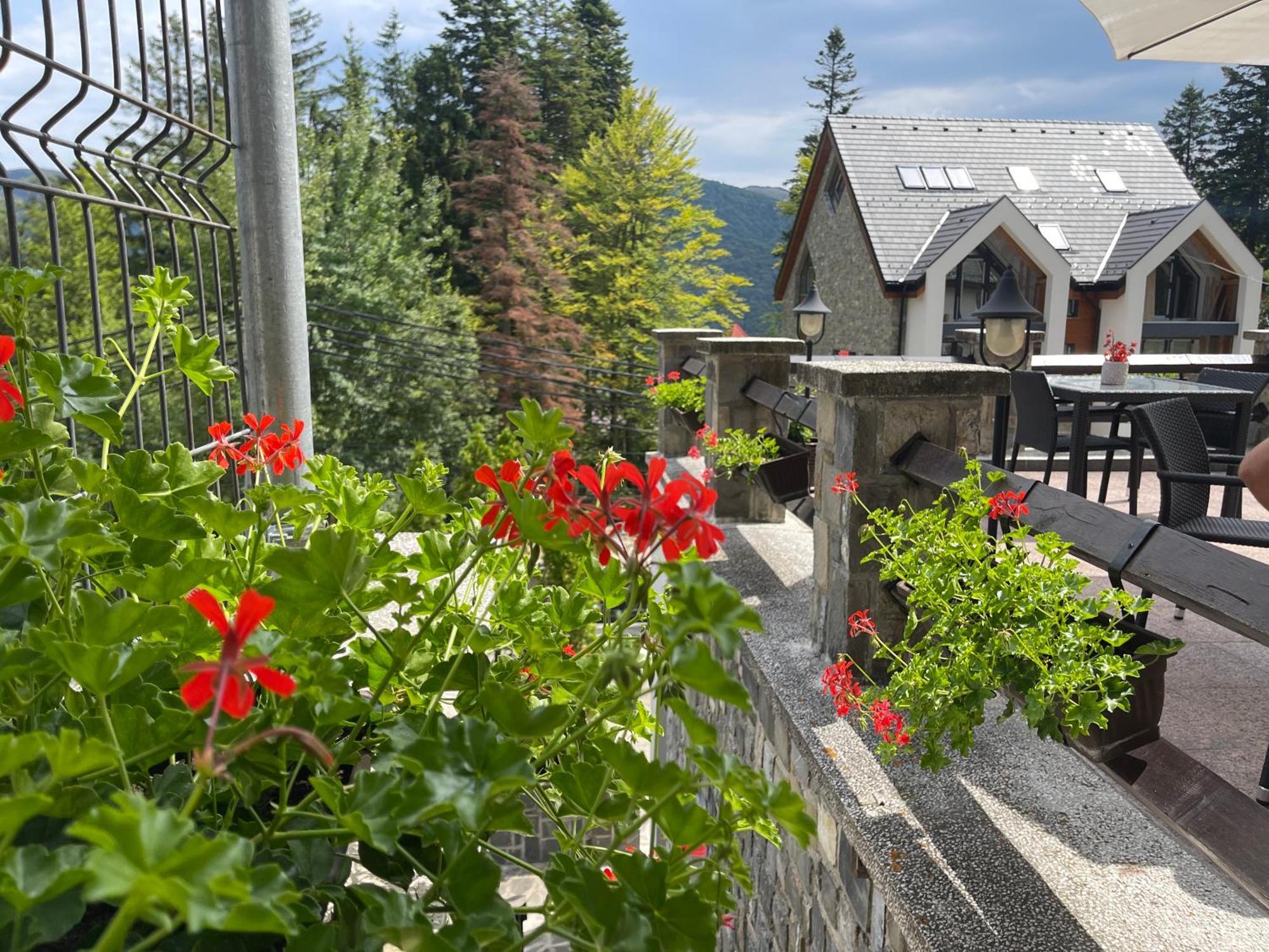 Hotel Vila Terase Sinaia Zewnętrze zdjęcie