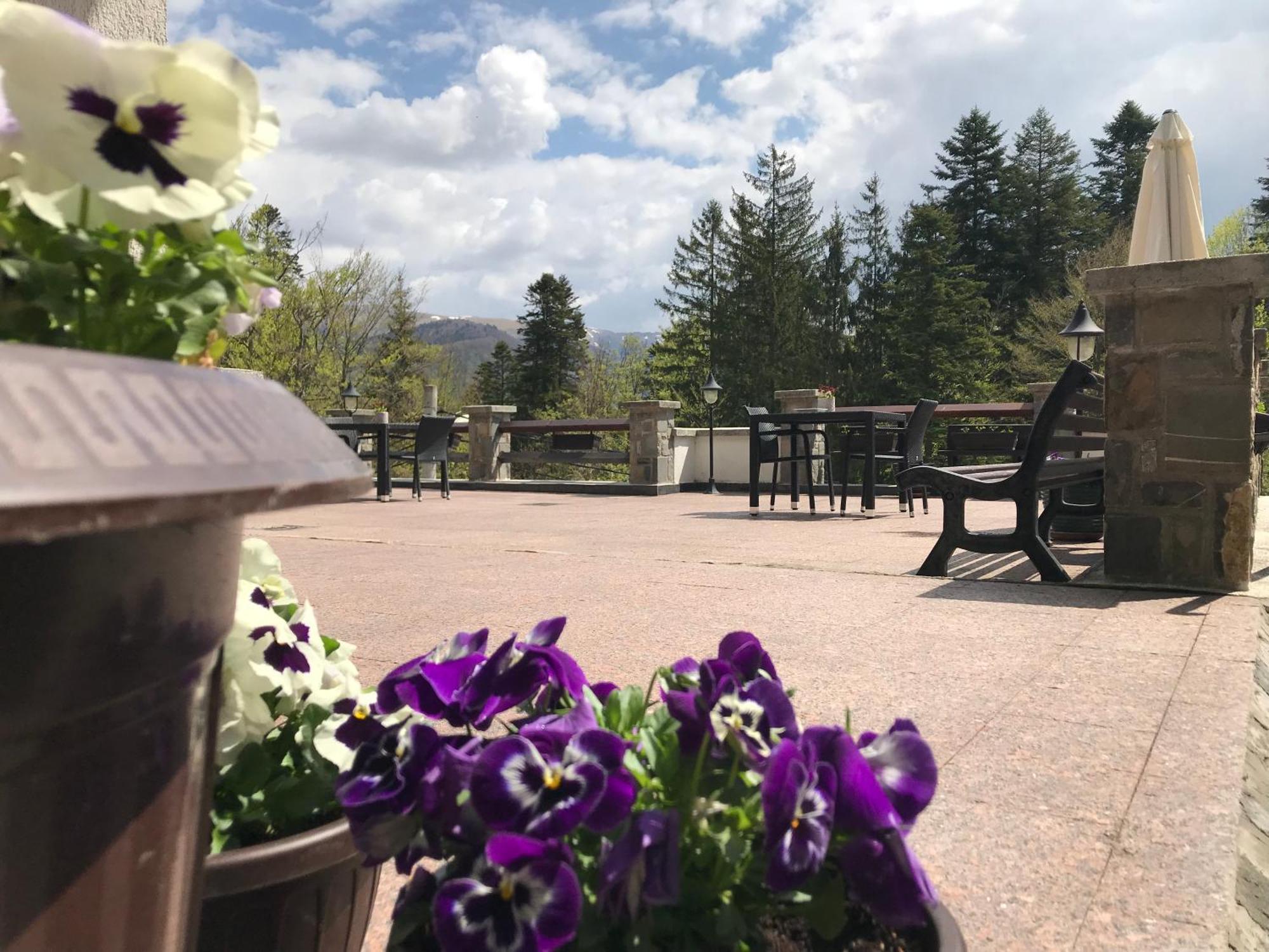 Hotel Vila Terase Sinaia Zewnętrze zdjęcie