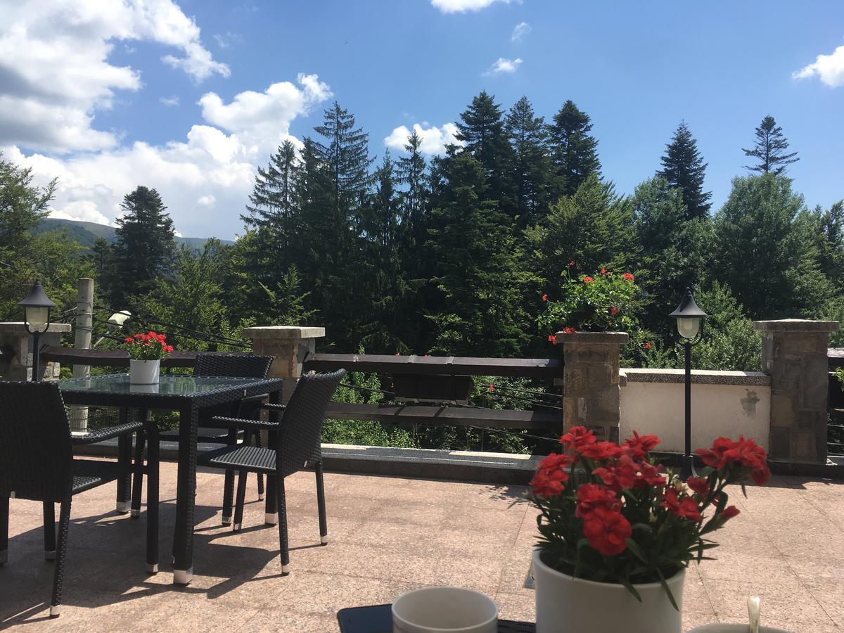Hotel Vila Terase Sinaia Zewnętrze zdjęcie