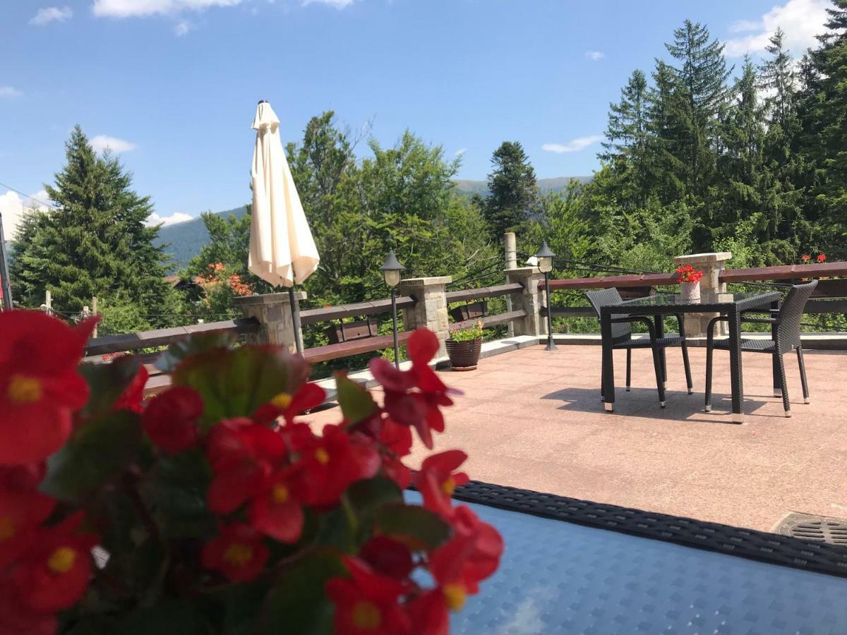 Hotel Vila Terase Sinaia Zewnętrze zdjęcie