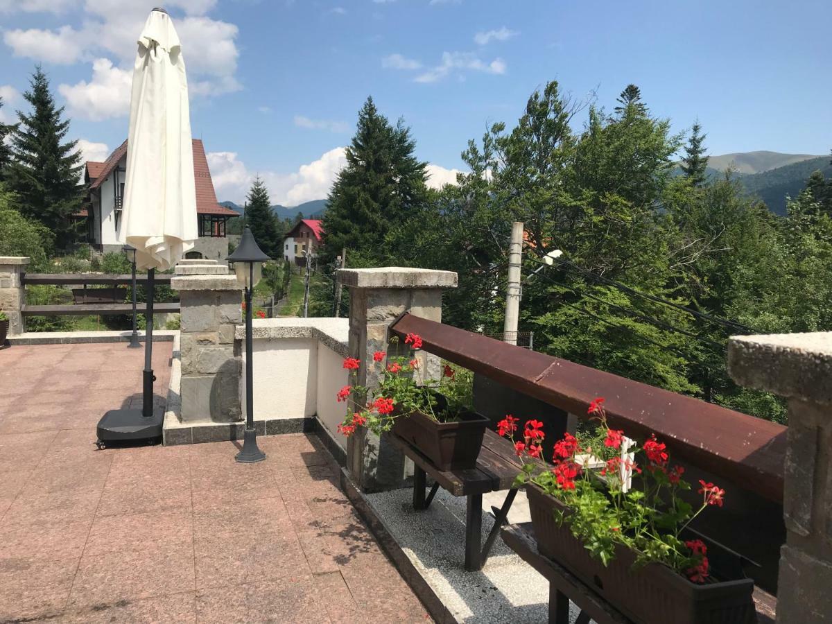 Hotel Vila Terase Sinaia Zewnętrze zdjęcie